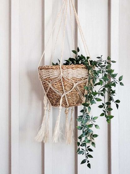 Plant Hanger - Bitan - Tampa soil911.com