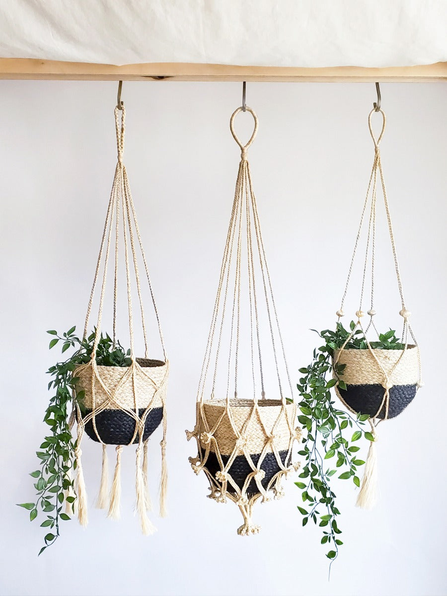 Plant Hanger - Bitan - Tampa soil911.com