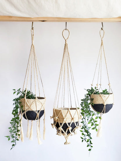 Plant Hanger - Bitan - Tampa soil911.com