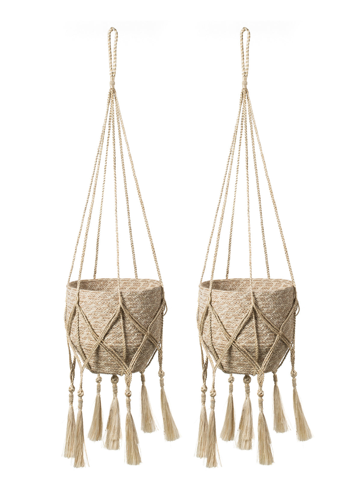 Plant Hanger - Bitan - Tampa soil911.com
