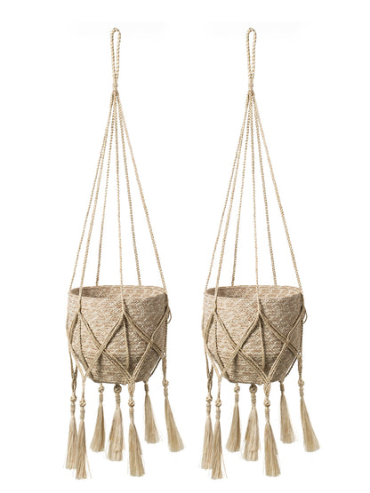 Plant Hanger - Bitan - Tampa soil911.com