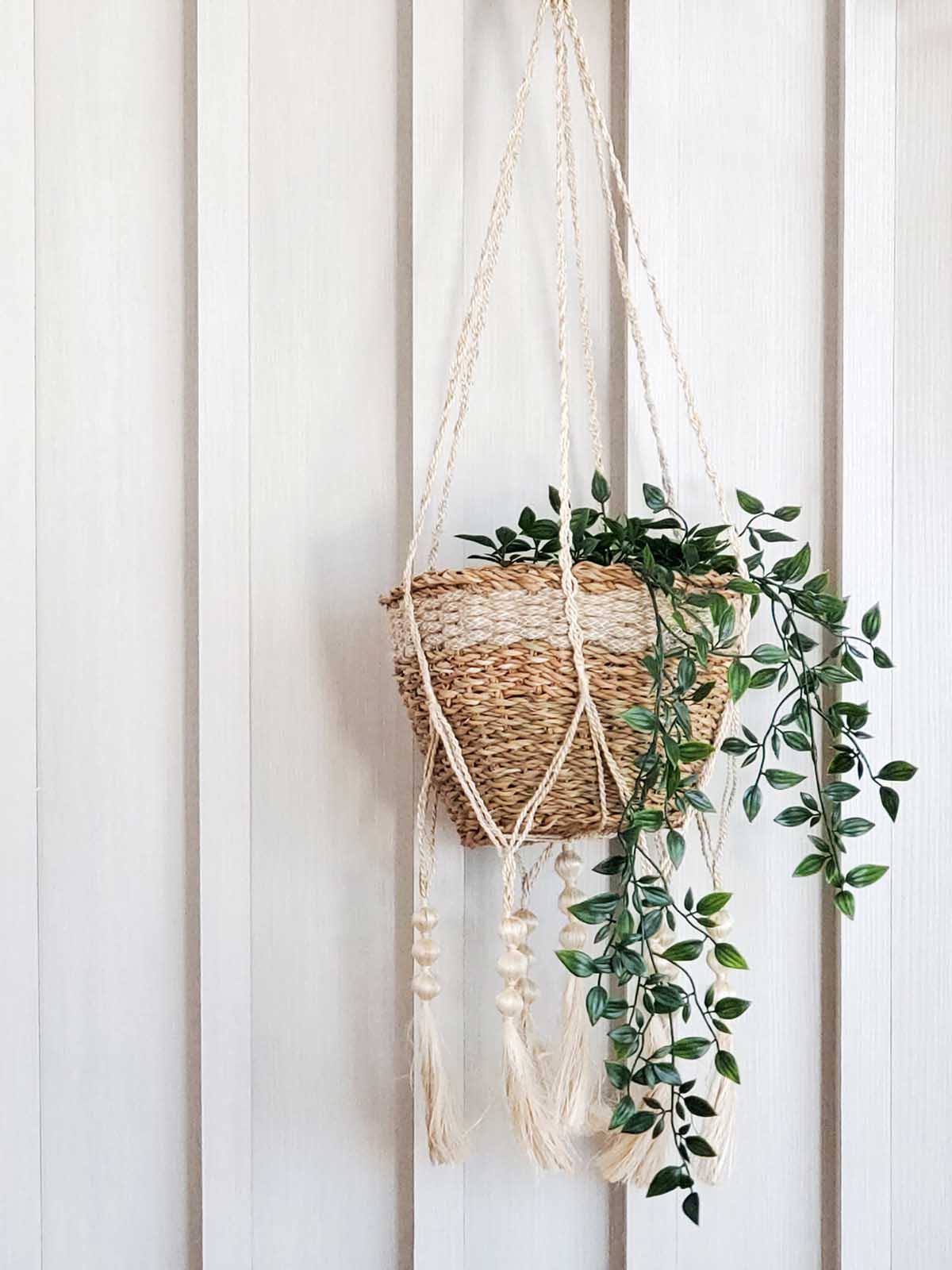Plant Hanger - Fiora - Tampa soil911.com