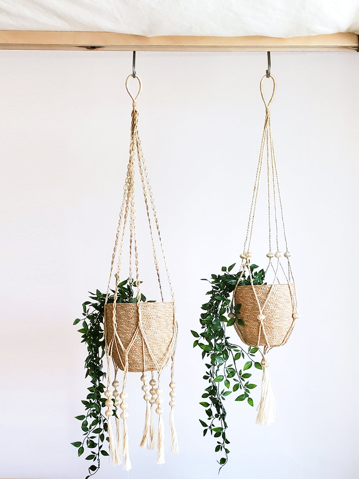 Plant Hanger - Fiora - Tampa soil911.com