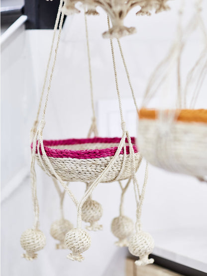Plant Hanger - Kadam - Tampa soil911.com