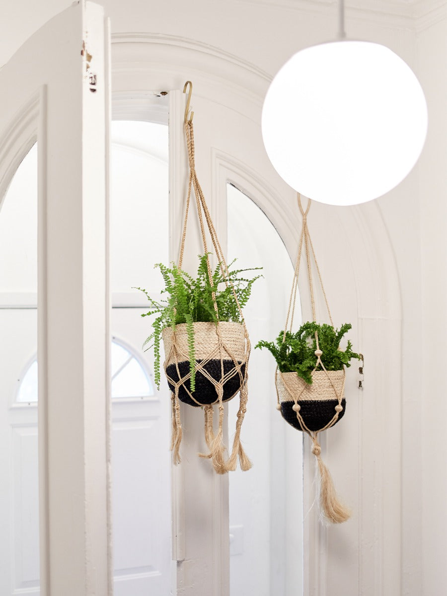 Plant Hanger - Nadu - Tampa soil911.com
