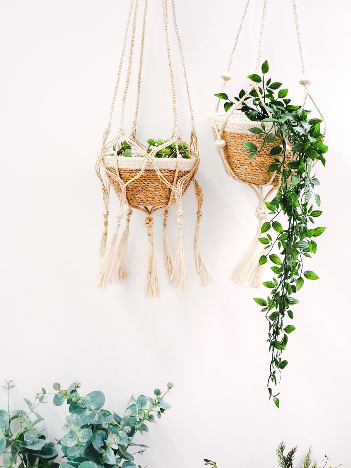 Plant Hanger - Nadu - Tampa soil911.com