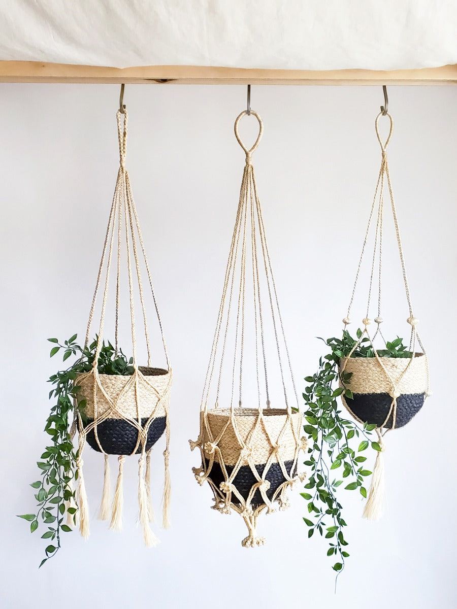 Plant Hanger - Nadu - Tampa soil911.com