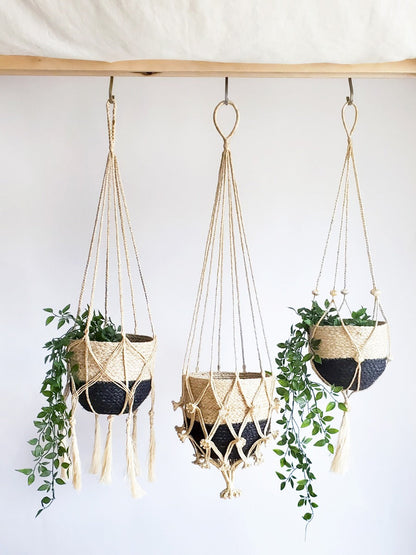 Plant Hanger - Nadu - Tampa soil911.com