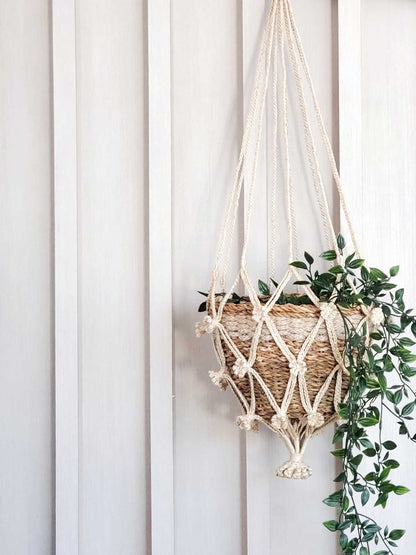 Plant Hanger - Shuly - Tampa soil911.com