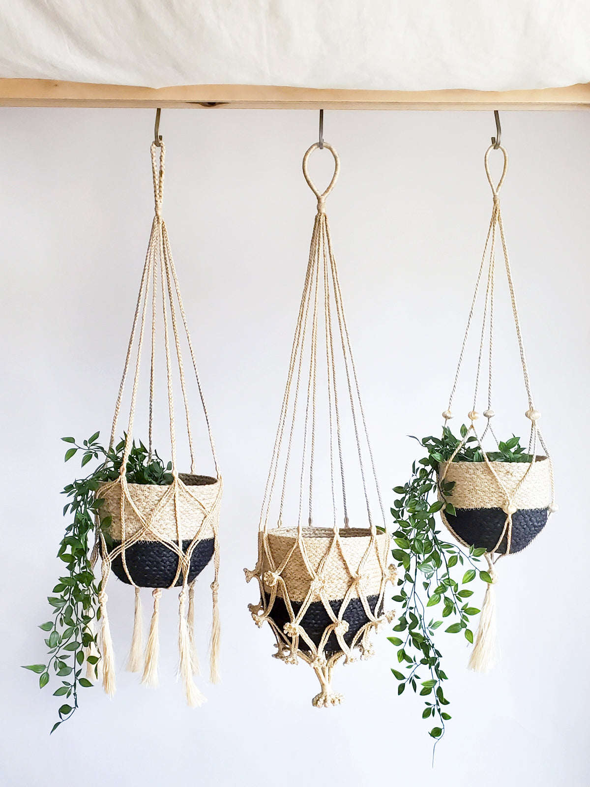 Plant Hanger - Shuly - Tampa soil911.com