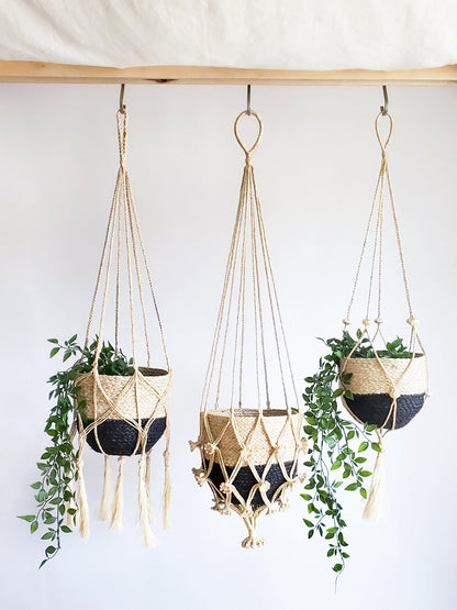 Plant Hanger - Shuly - Tampa soil911.com