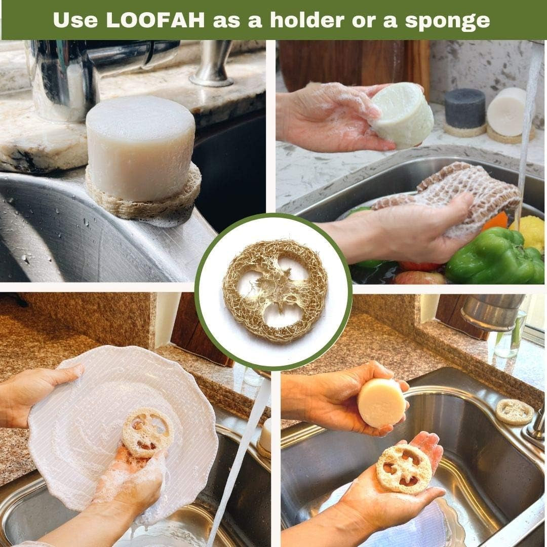 🌿 Plastic-Free Dish Soap with Natural Loofah – Eco-Conscious Cleaning, Elevated - Tampa Home & Garden Store
