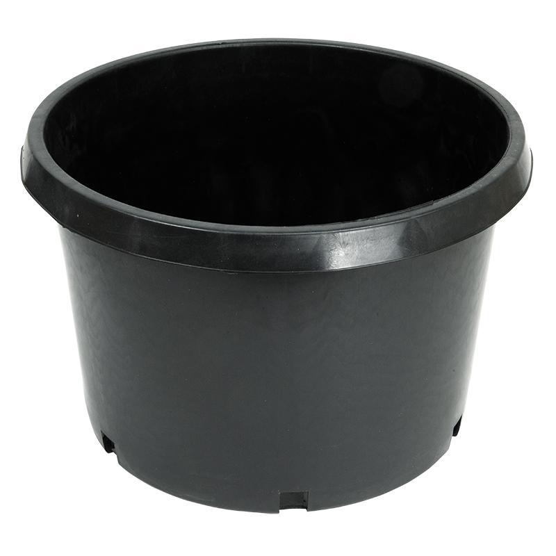 Plastic Squat Pot (10 Gal) - Tampa Home & Garden Store