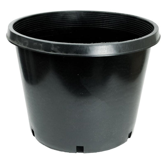 Plastic Squat Pot (20 Gal) - Tampa Home & Garden Store