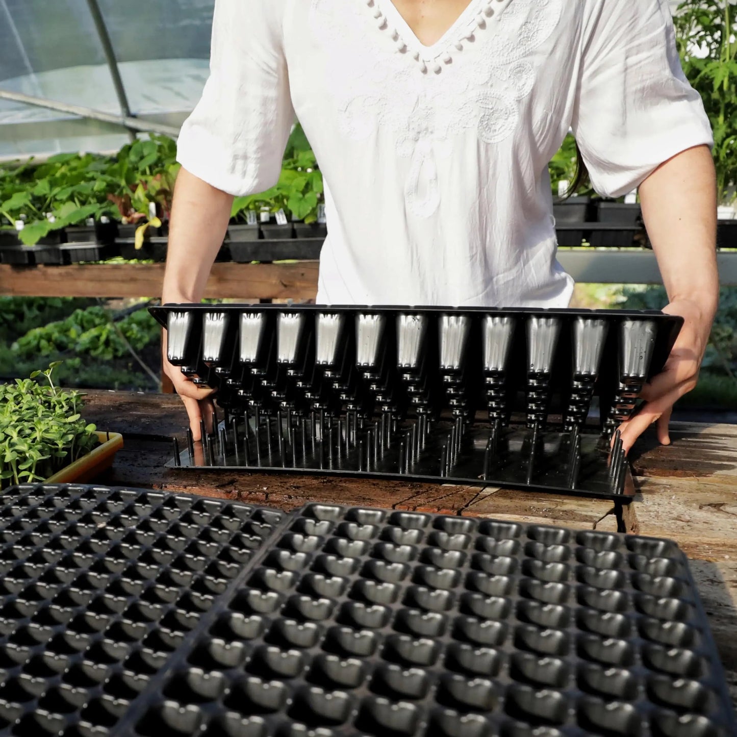 Plug Popper for Cell Trays - Tampa soil911.com