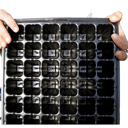 Plug Popper for Cell Trays - Tampa soil911.com