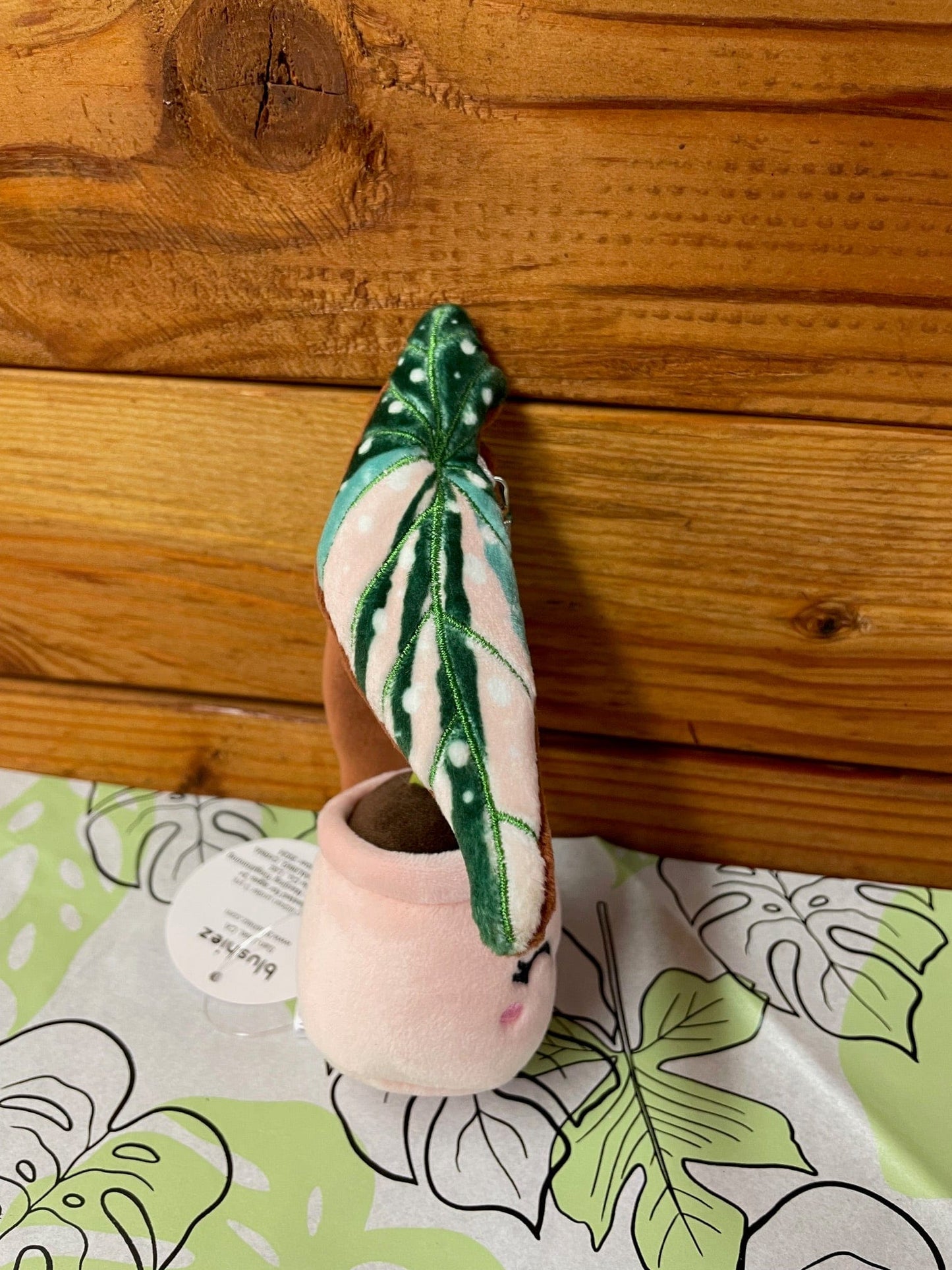 Plush Keychain Begonia Variegated Maculata - Tampa Home & Garden Store