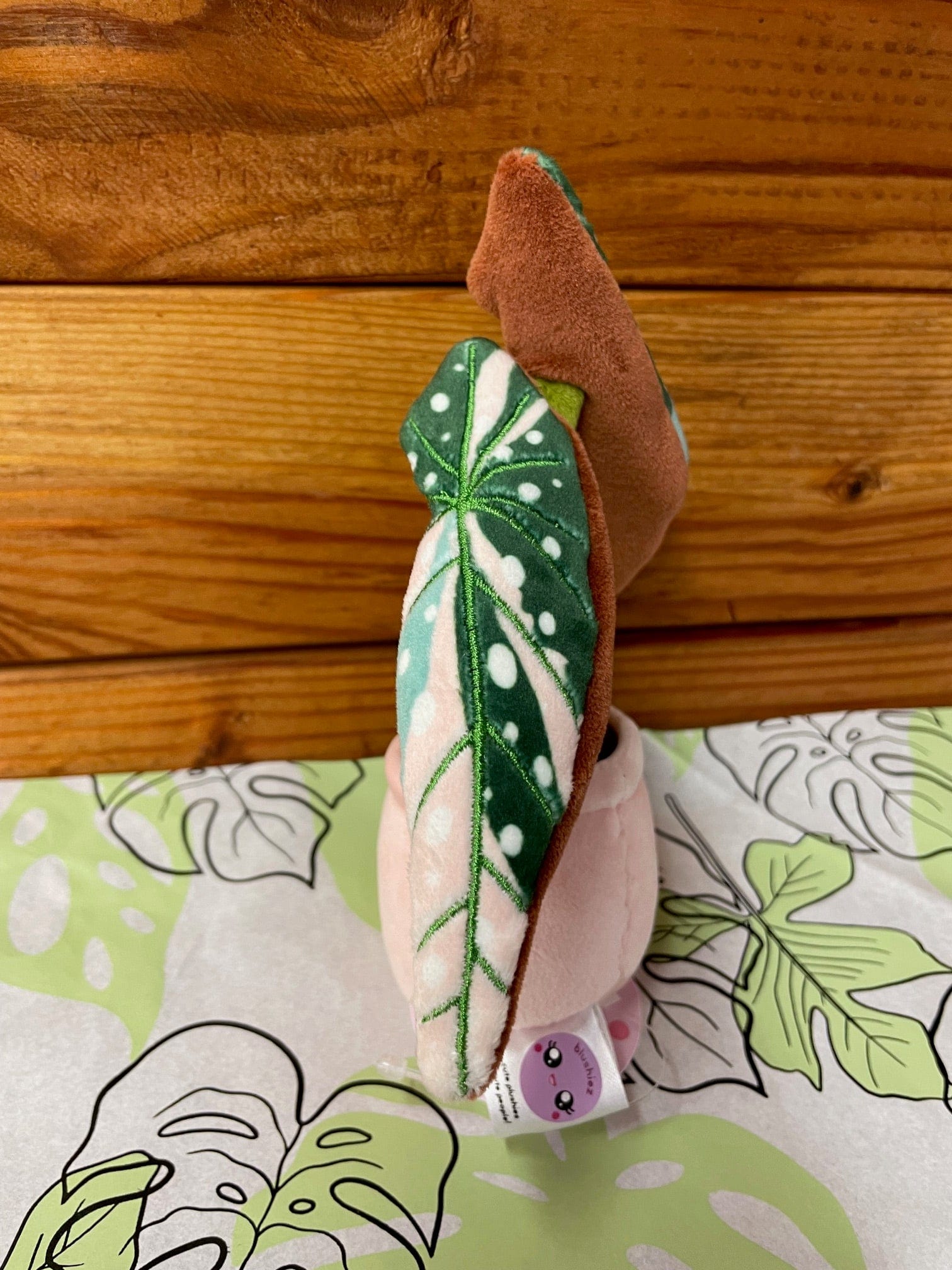Plush Keychain Begonia Variegated Maculata - Tampa Home & Garden Store