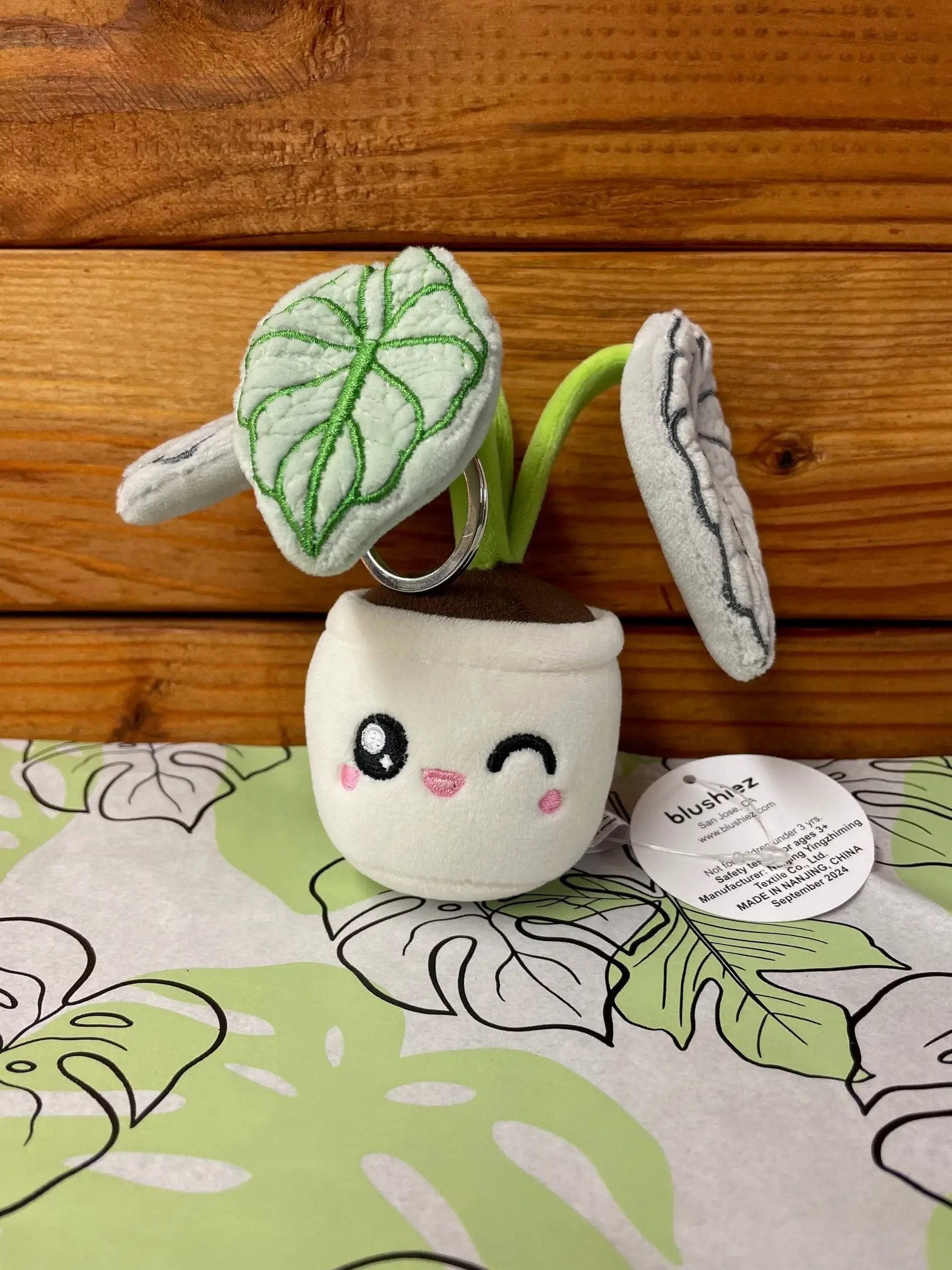 Plush plant toy keychain with a cute face on sale, Tampa soil911.com.