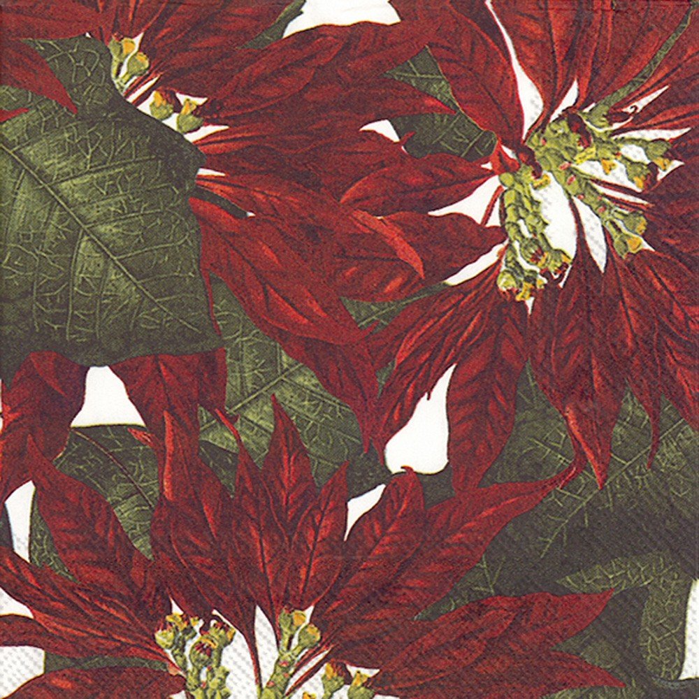 Poinsettia Cocktail Napkin - Tampa Home & Garden Store