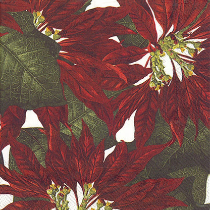 Poinsettia Cocktail Napkin - Tampa Home & Garden Store