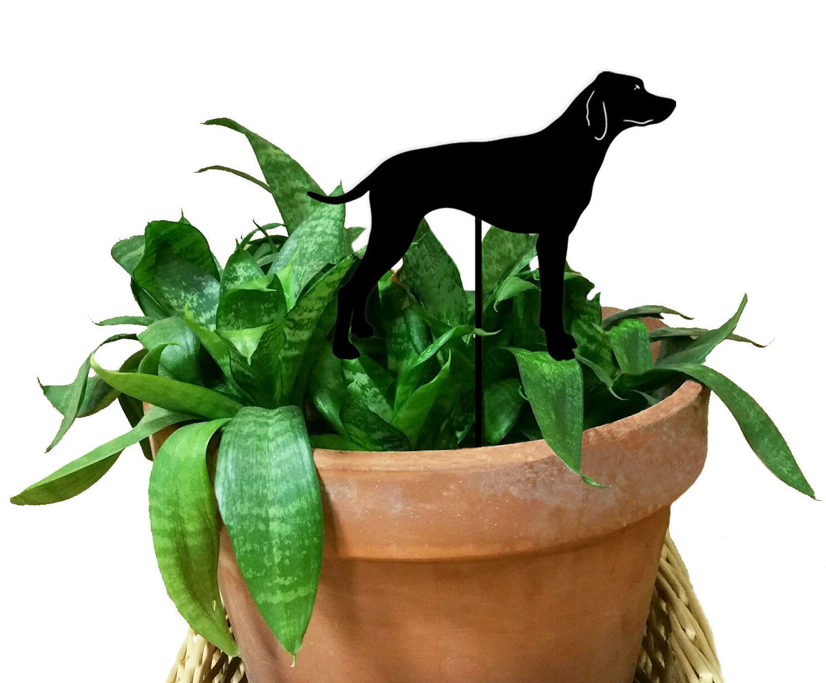 Pointer Plant Stake silhouette of a black dog in a terracotta pot with green leaves on Tampa Home & Garden Store
