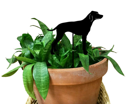 Pointer Plant Stake silhouette of a black dog in a terracotta pot with green leaves on Tampa Home & Garden Store