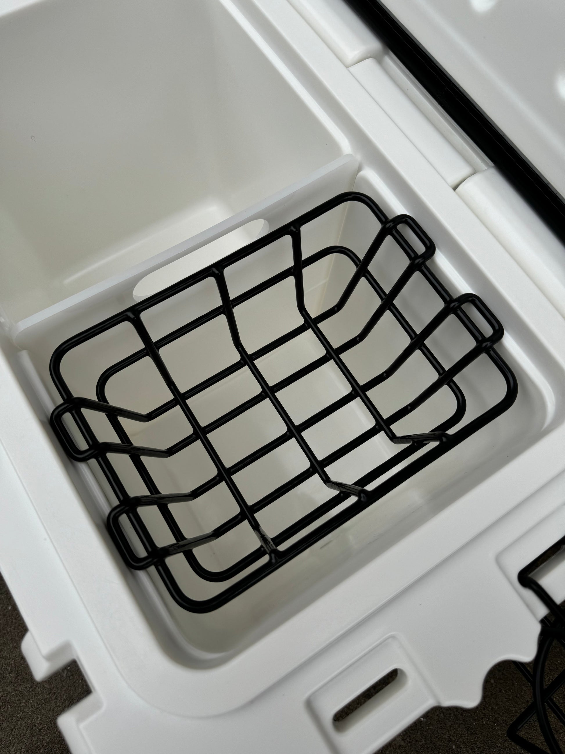Polar Bear 20 Hard Cooler - Tampa Home & Garden Store