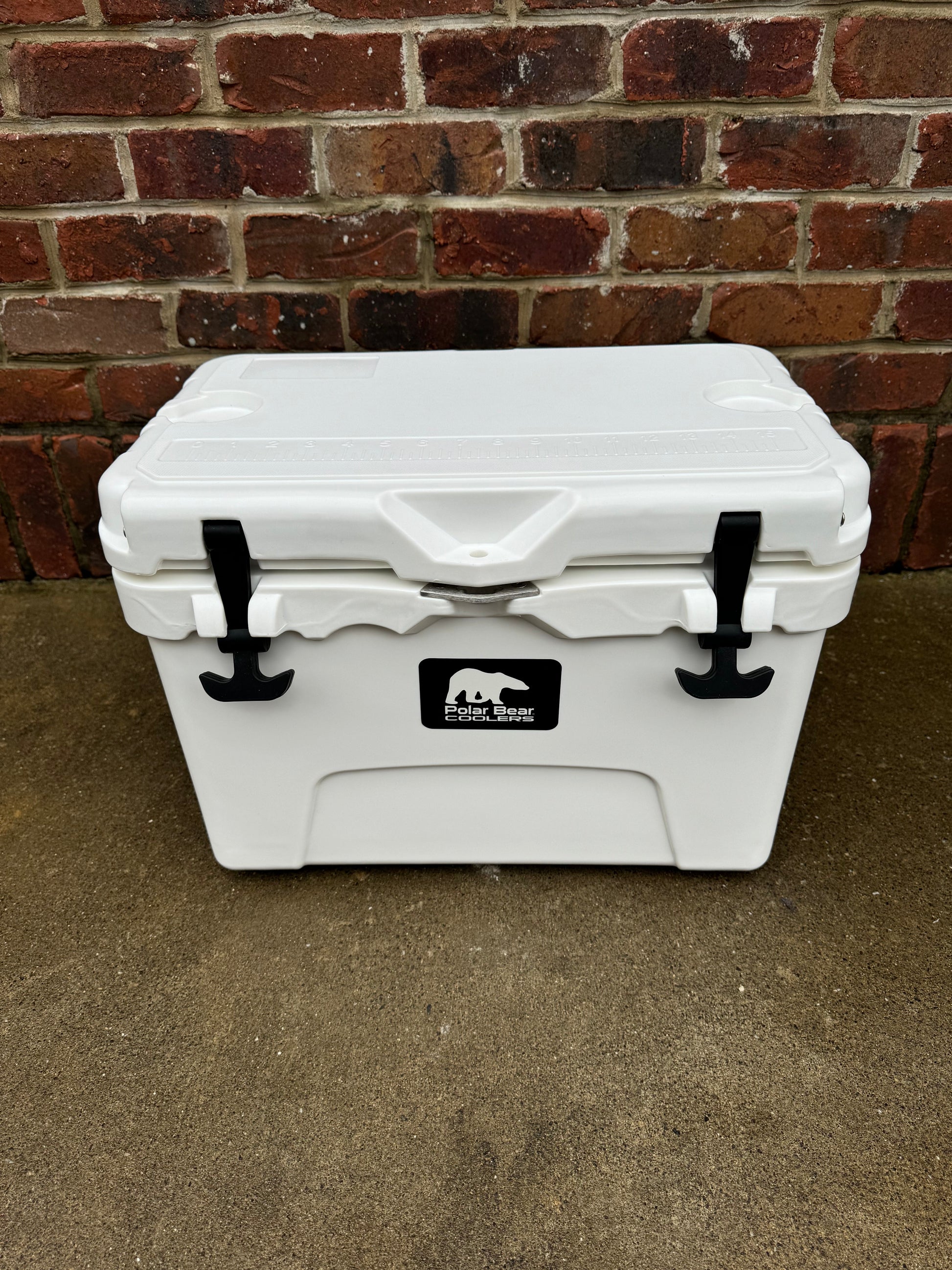 Polar Bear 20 Hard Cooler - Tampa Home & Garden Store