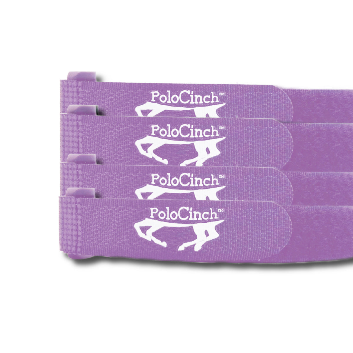 Horse PoloCinch™ | Equine Polo Wrap Guards