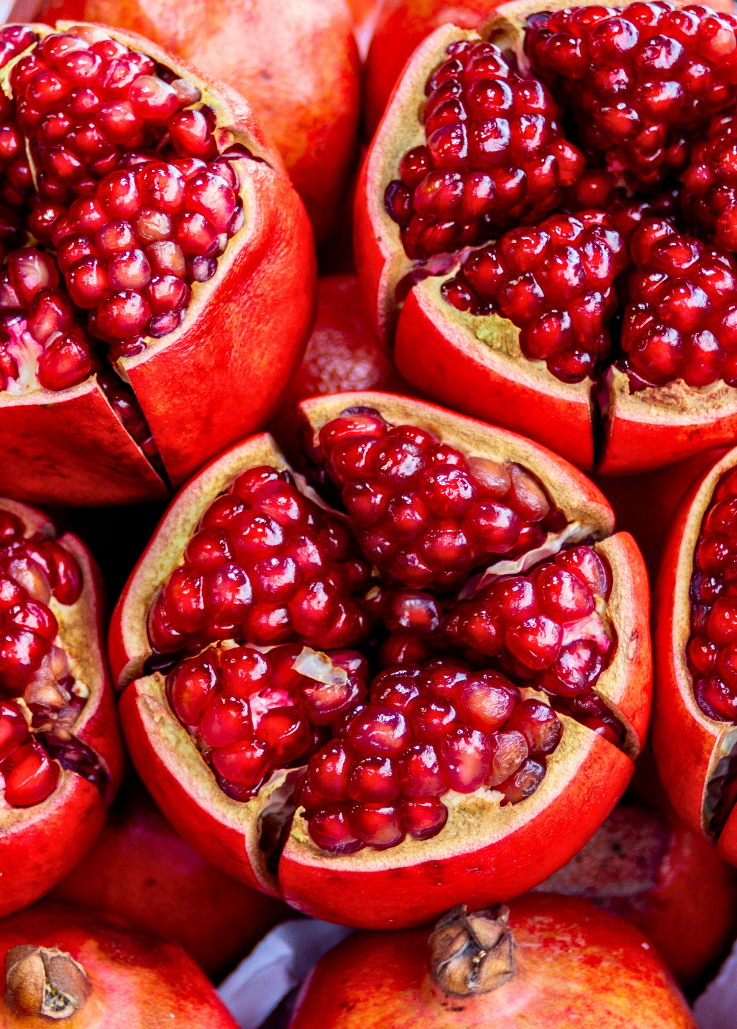 Pomegranate 'Wonderful' (Punica granatum) - Tampa Home & Garden Store
