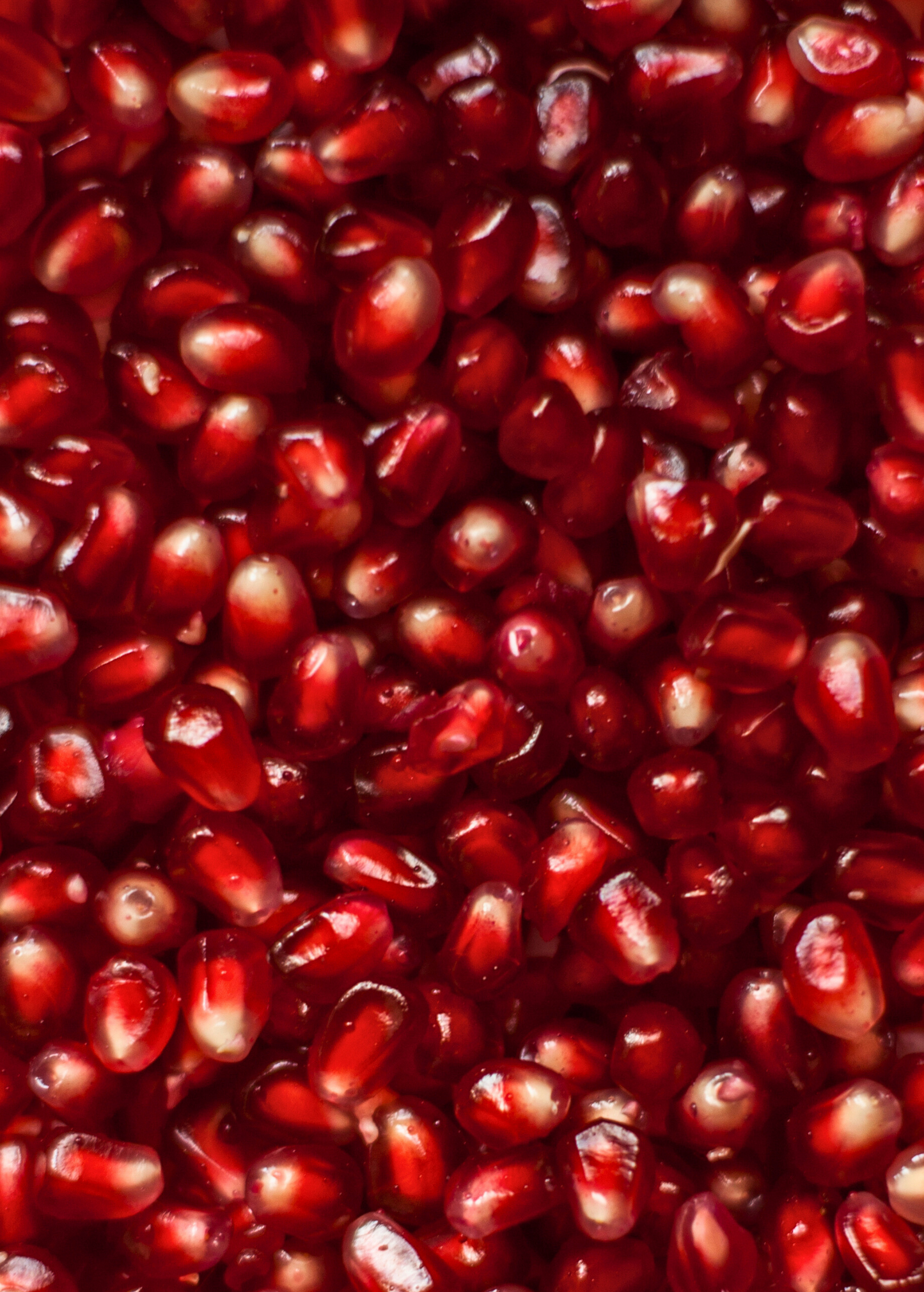 Pomegranate 'Wonderful' (Punica granatum) - Tampa Home & Garden Store