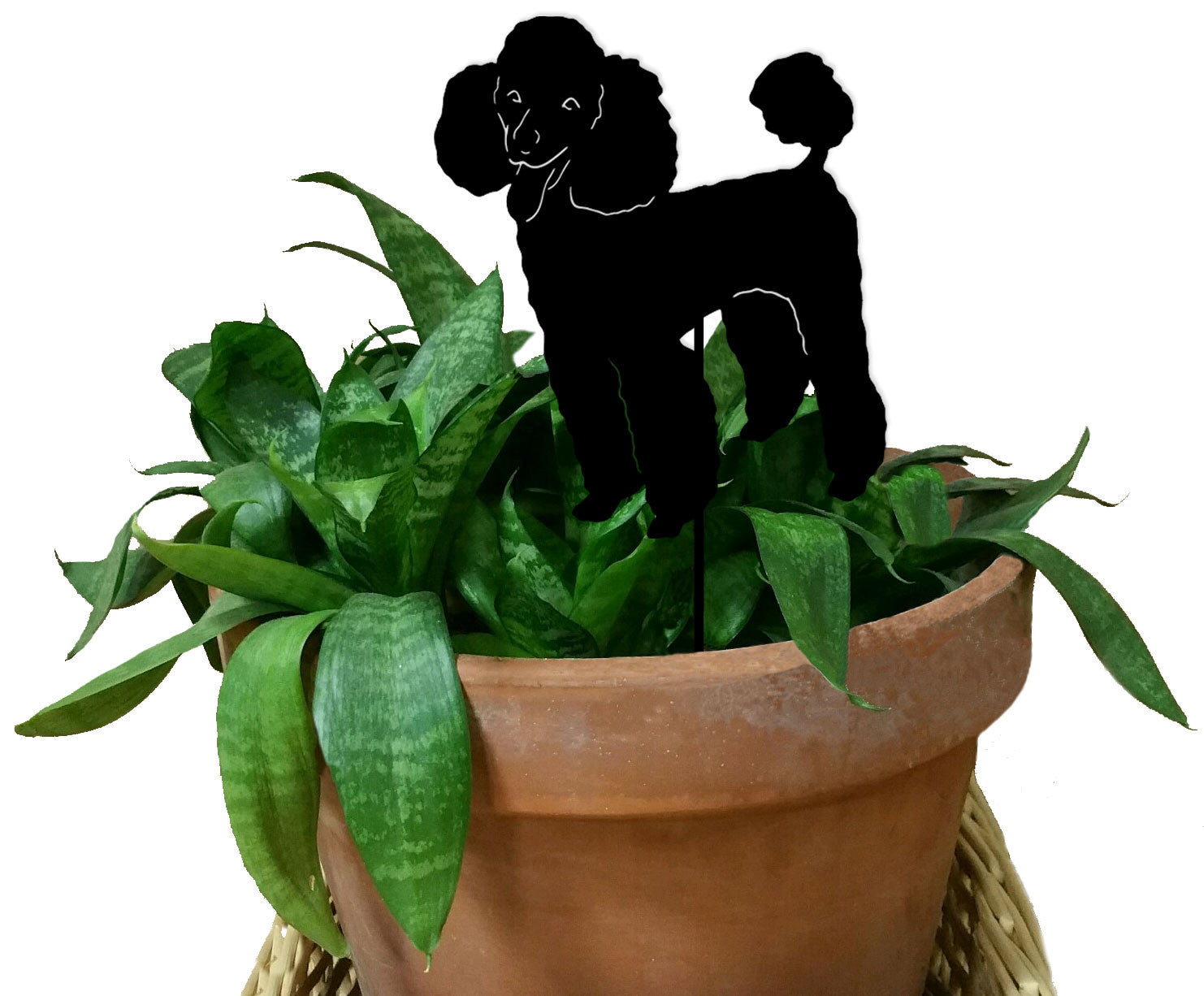 Poodle plant stake silhouette, black metal, in a terracotta pot with green leafy plant on Tampa Home & Garden Store