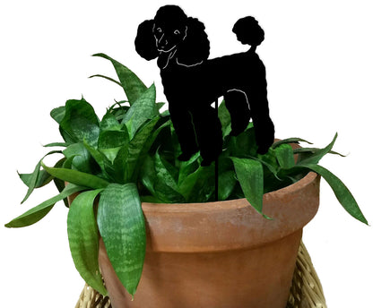 Poodle plant stake silhouette, black metal, in a terracotta pot with green leafy plant on Tampa Home & Garden Store