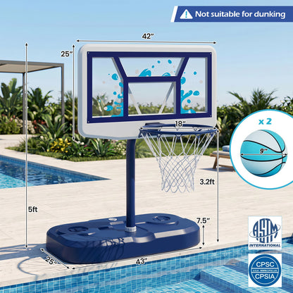 Pool basketball hoop by DirectDeals with 2 balls and pump, blue backboard and rim on Tampa Home & Garden Store