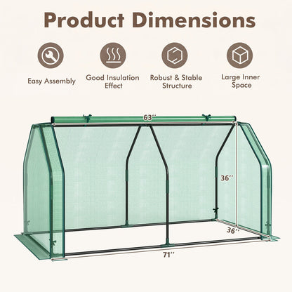 DirectDeals Portable Mini Greenhouse with PE cover and roll-up door, green mesh panels, sturdy frame on Tampa Home & Garden Store
