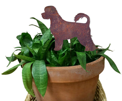 Portuguese Water Dog plant stake in rusted metal atop a terracotta pot with greens on Tampa Home & Garden Store