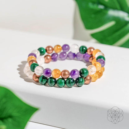 Powerhouse of Wealth Manifestation - Crystal Quartet Bracelet Set - Tampa Home & Garden Store