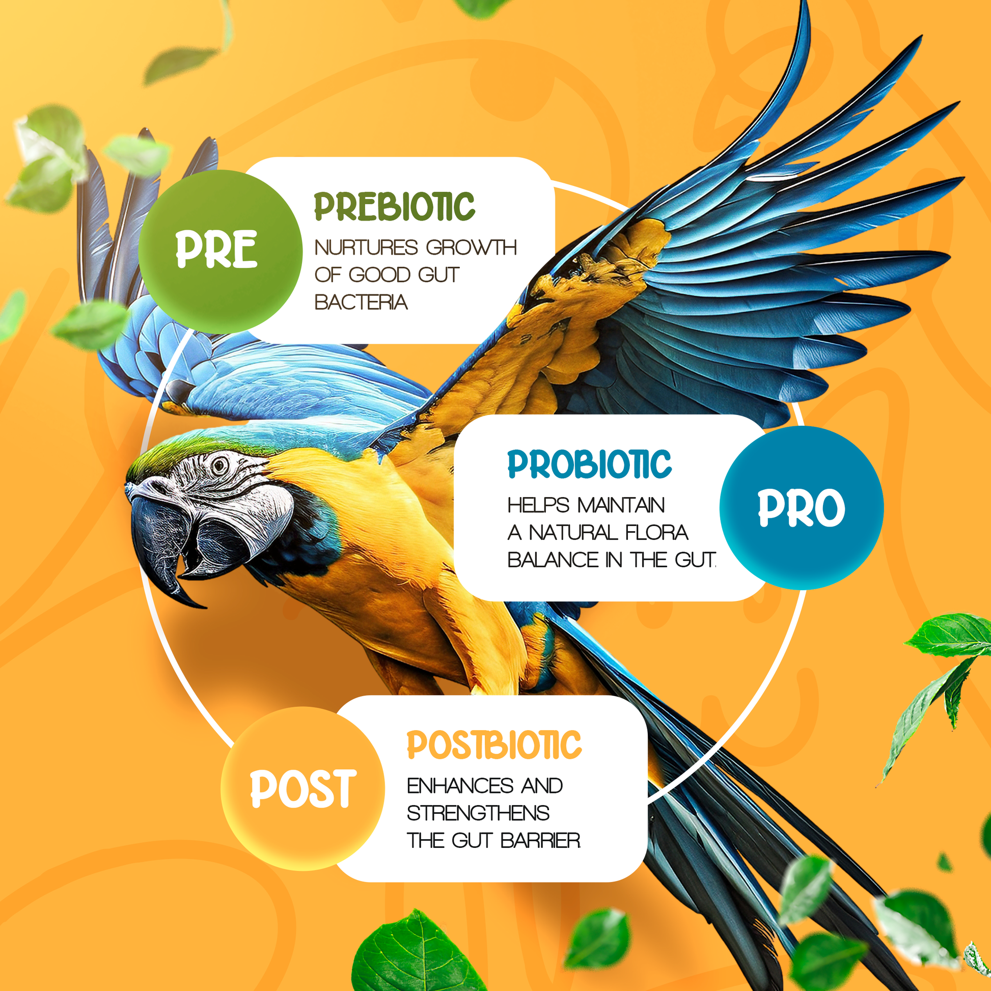 Pre+Pro+Post Biotics Blend for Parrots - 1.06oz - Tampa Home & Garden Store