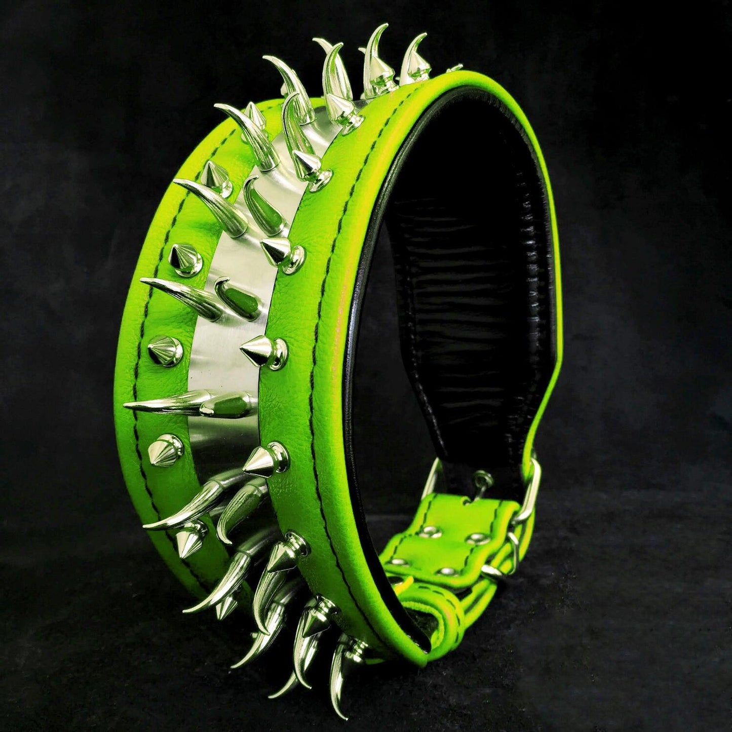 ''Predator'' collar in Green - Tampa Home & Garden Store