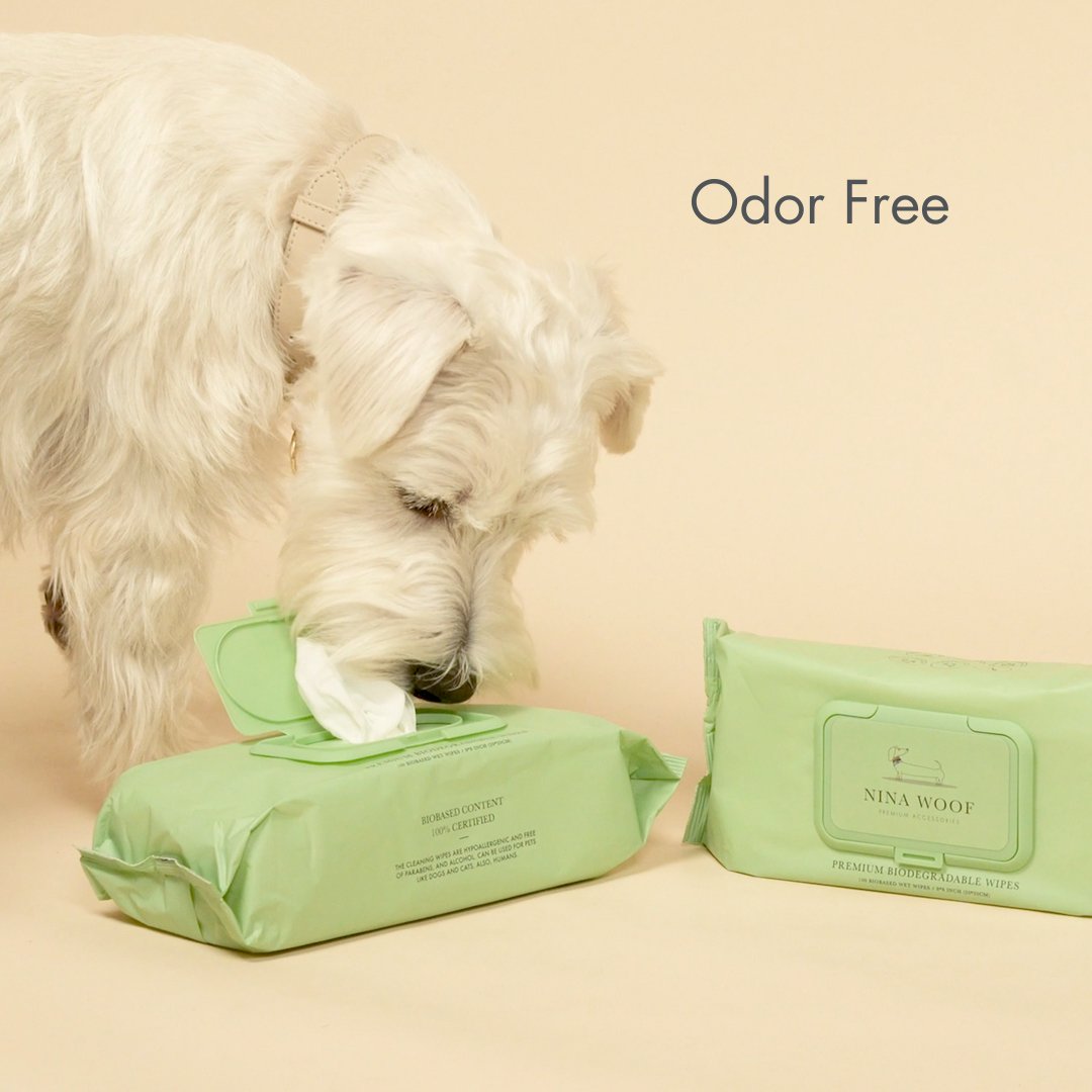 Premium Wipes - Biodegradable and Plant-Based - Tampa Home & Garden Store