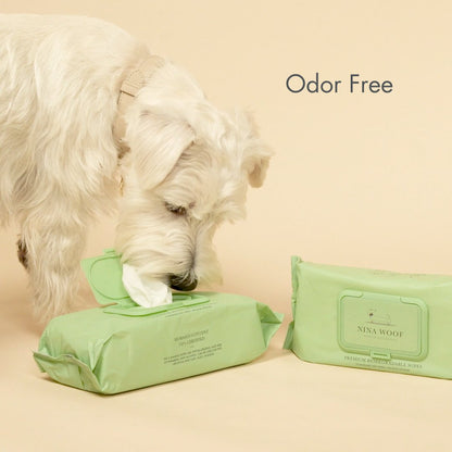 Premium Wipes - Biodegradable and Plant-Based - Tampa Home & Garden Store