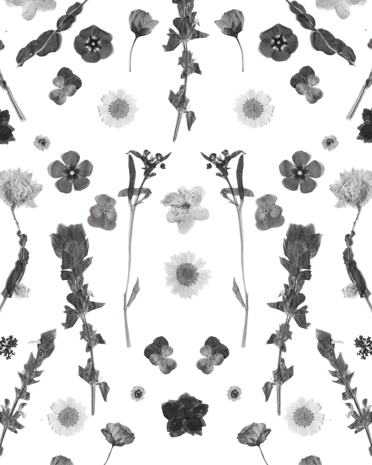 Pressed Fresh Version 02 Wallpaper, black and white - Tampa Home & Garden Store