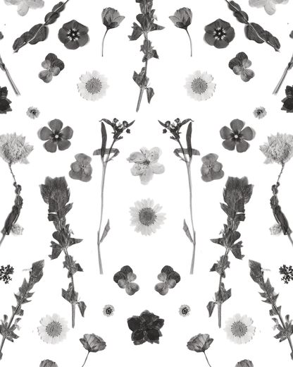 Pressed Fresh Version 02 Wallpaper, black and white - Tampa Home & Garden Store