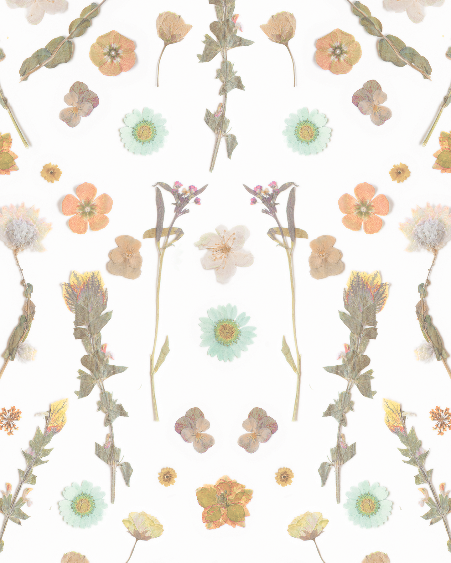 Pressed Fresh Version 02 Wallpaper, peach and mint - Tampa Home & Garden Store