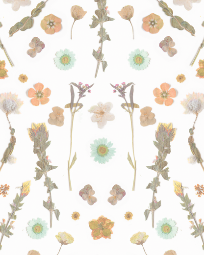 Pressed Fresh Version 02 Wallpaper, peach and mint - Tampa Home & Garden Store