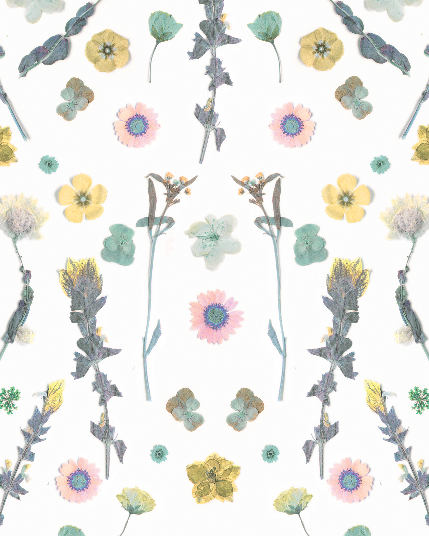 Pressed Fresh Version 02 Wallpaper, pink & yellow - Tampa Home & Garden Store
