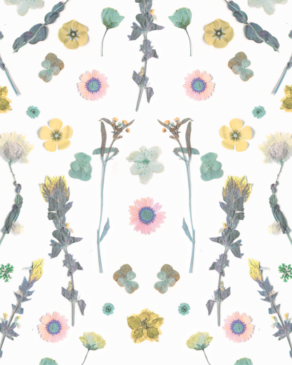 Pressed Fresh Version 02 Wallpaper, pink & yellow - Tampa Home & Garden Store