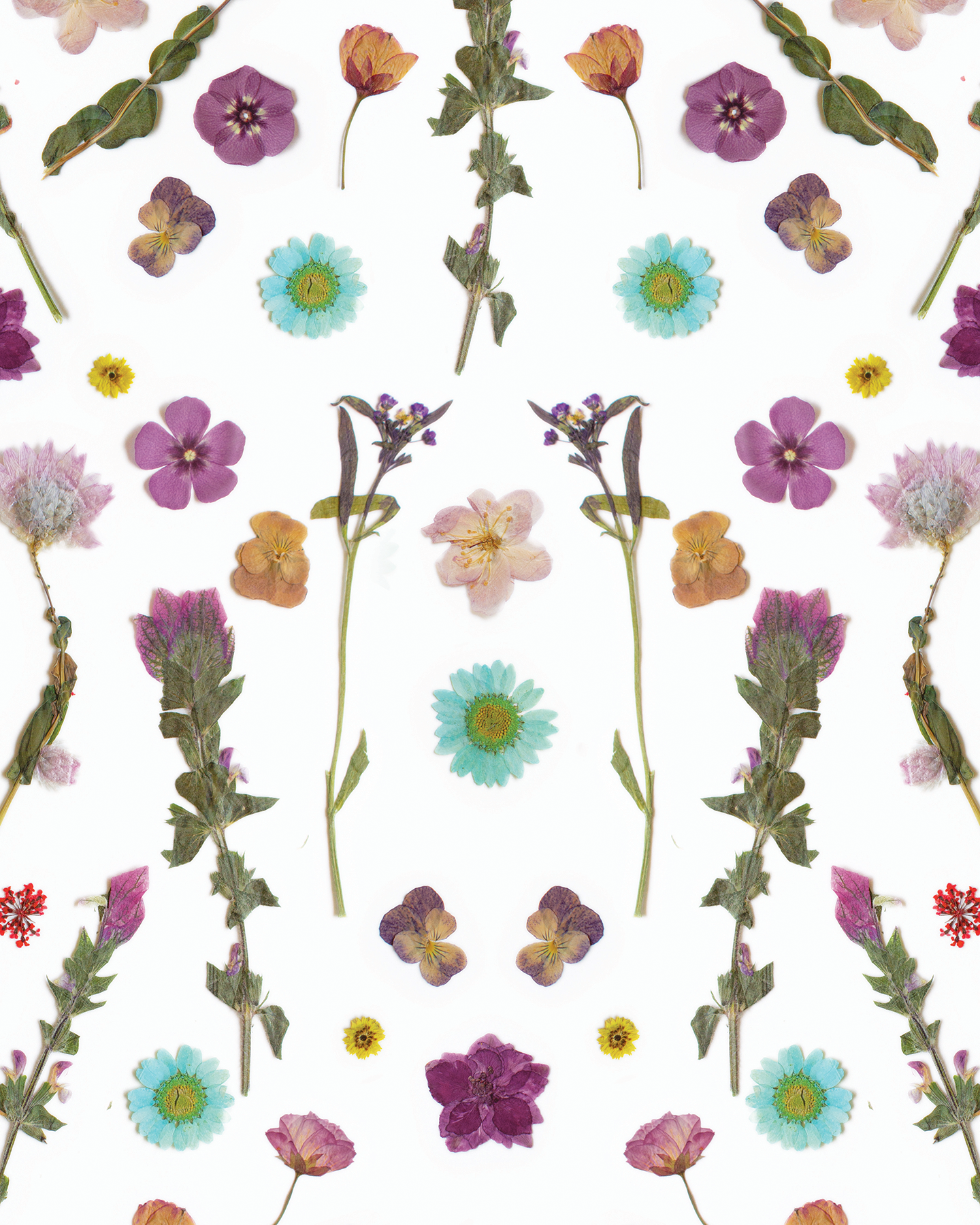 Pressed Fresh Version 02 Wallpaper, purple and blue - Tampa Home & Garden Store