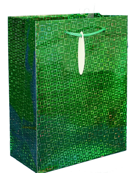 Prismatic green gift bag with square pattern, green cord handle, white tag on Tampa Home & Garden Store